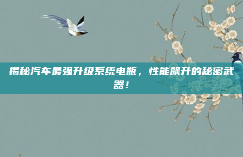 揭秘汽车最强升级系统电瓶,性能飙升的秘密武器!