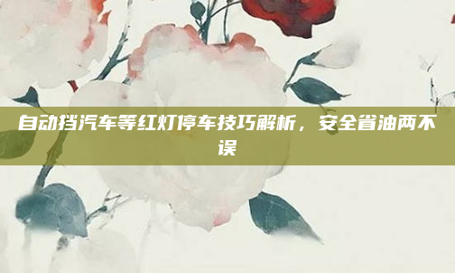自动挡汽车等红灯停车技巧解析，安全省油两不误