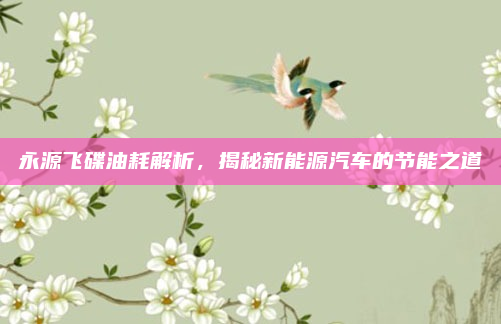 永源飞碟油耗解析,揭秘新能源汽车的节能之道