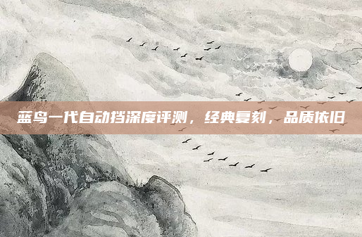 蓝鸟一代自动挡深度评测,经典复刻,品质依旧