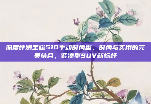 深度评测宝骏510手动时尚型,时尚与实用的完美结合,紧凑型SUV新标杆