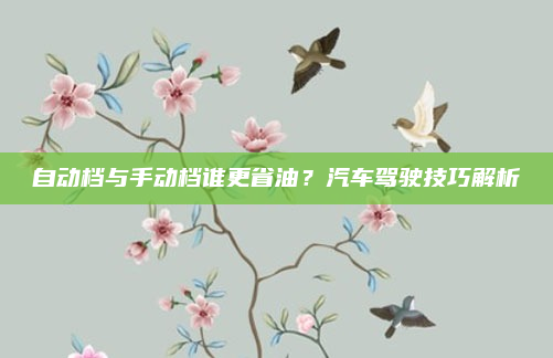 自动档与手动档谁更省油？汽车驾驶技巧解析