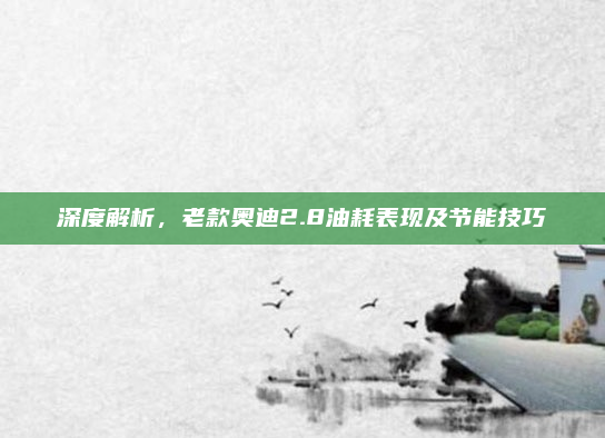 深度解析,老款奥迪2.8油耗表现及节能技巧