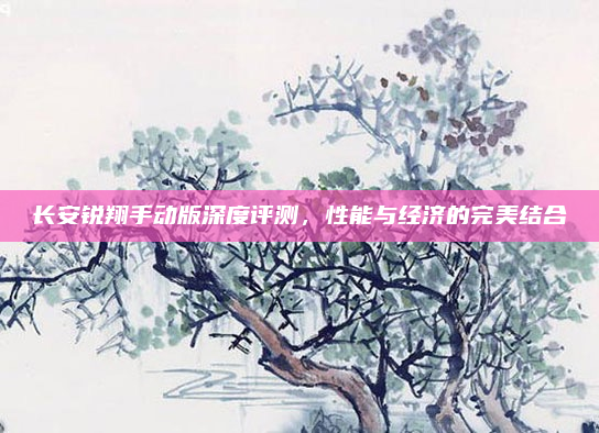 长安锐翔手动版深度评测,性能与经济的完美结合