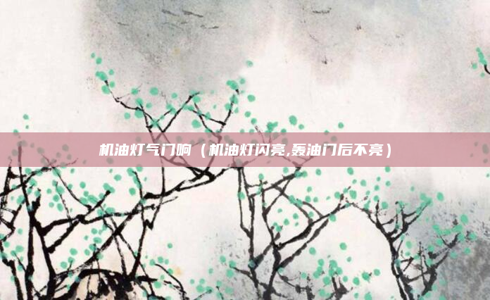机油灯气门响（机油灯闪亮,轰油门后不亮）