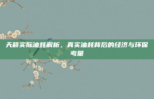 天籁实际油耗解析,真实油耗背后的经济与环保考量