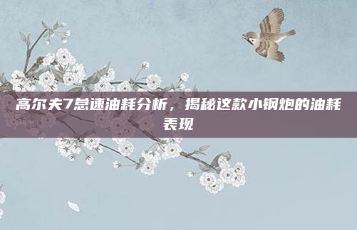 高尔夫7怠速油耗分析，揭秘这款小钢炮的油耗表现
