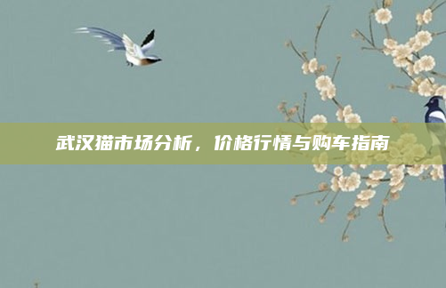 武汉猫市场分析，价格行情与购车指南