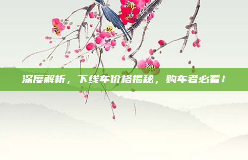 深度解析，下线车价格揭秘，购车者必看！