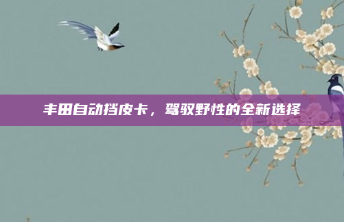 丰田自动挡皮卡，驾驭野性的全新选择