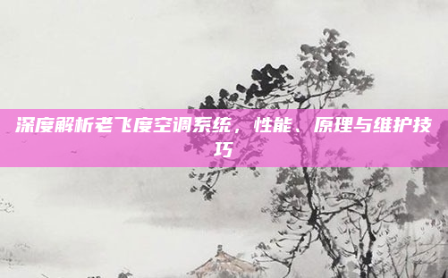 深度解析老飞度空调系统，性能、原理与维护技巧