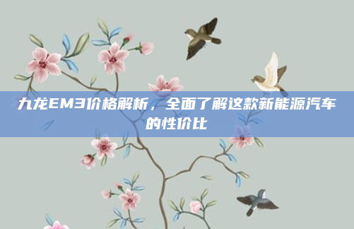 九龙EM3价格解析，全面了解这款新能源汽车的性价比