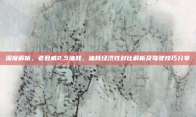 深度解析，老君威2.5油耗，油耗经济性对比解析及驾驶技巧分享