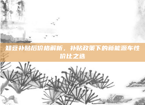 知豆补贴后价格解析,补贴政策下的新能源车性价比之选