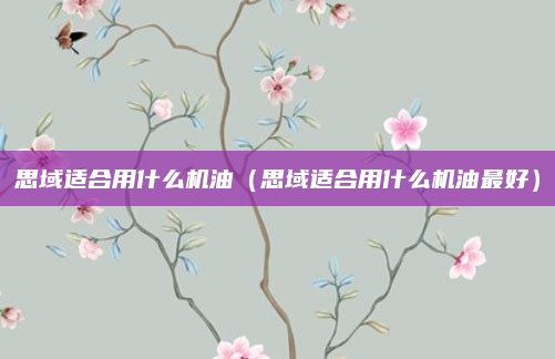思域适合用什么机油（思域适合用什么机油最好）