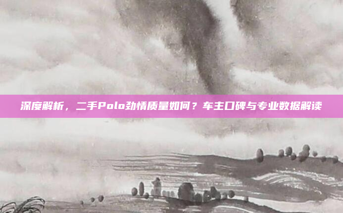 深度解析，二手Polo劲情质量如何？车主口碑与专业数据解读