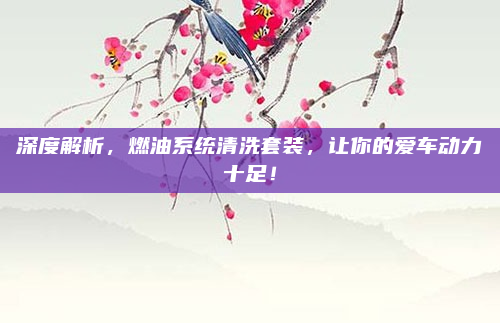深度解析，燃油系统清洗套装，让你的爱车动力十足！