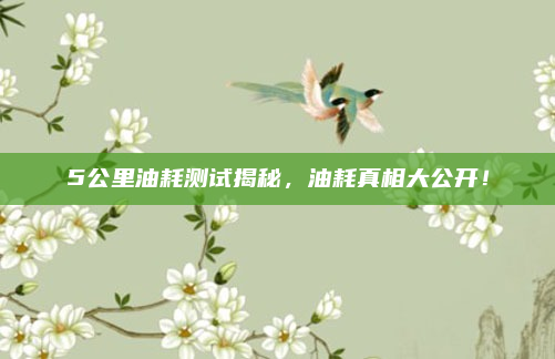 5公里油耗测试揭秘，油耗真相大公开！