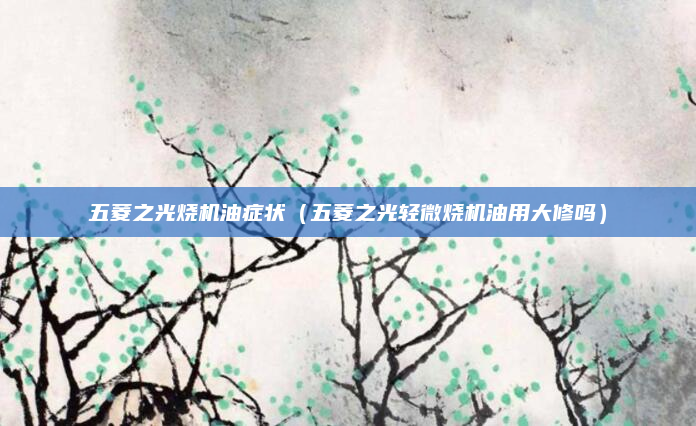 五菱之光烧机油症状（五菱之光轻微烧机油用大修吗）