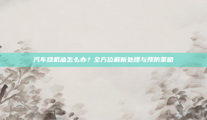汽车烧机油怎么办?全方位解析处理与预防策略