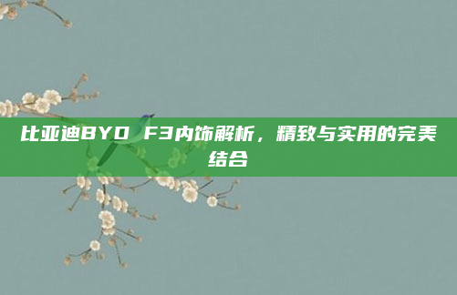 比亚迪BYD F3内饰解析，精致与实用的完美结合