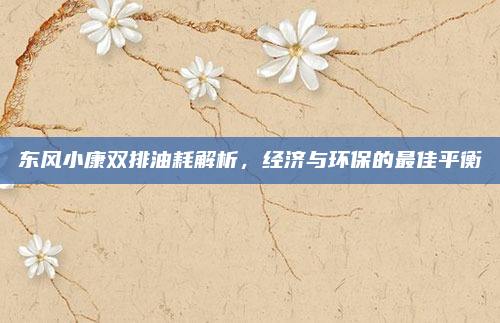 东风小康双排油耗解析，经济与环保的最佳平衡