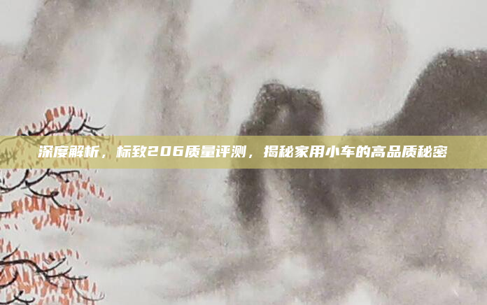 深度解析，标致206质量评测，揭秘家用小车的高品质秘密