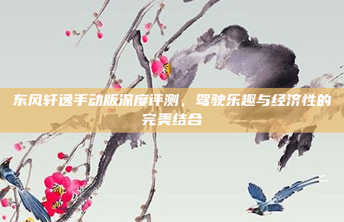 东风轩逸手动版深度评测，驾驶乐趣与经济性的完美结合