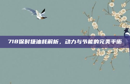 718保时捷油耗解析，动力与节能的完美平衡
