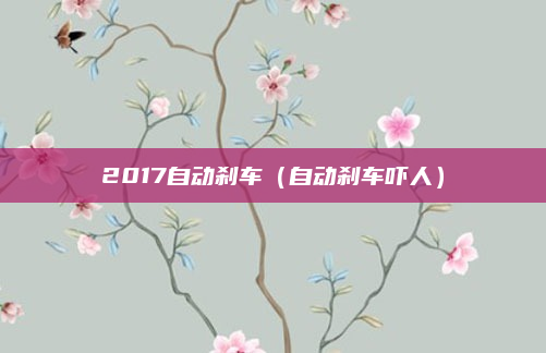 2017自动刹车（自动刹车吓人）