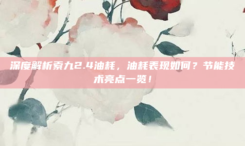 深度解析索九2.4油耗,油耗表现如何?节能技术亮点一览!