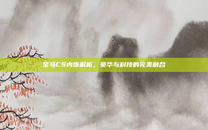 宝马CS内饰解析，豪华与科技的完美融合