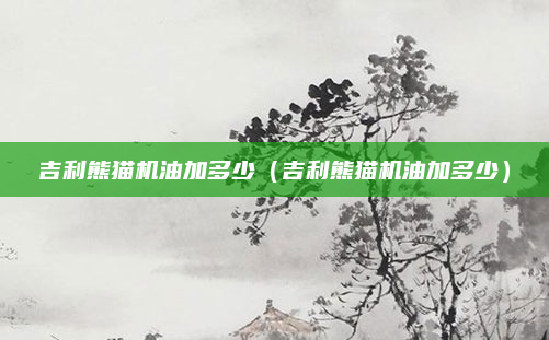 吉利熊猫机油加多少（吉利熊猫机油加多少）