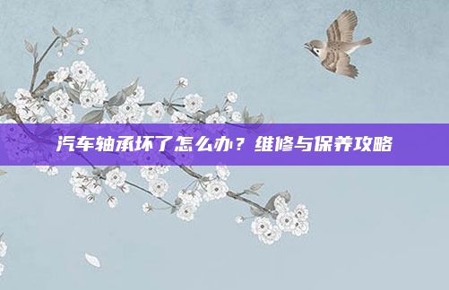 汽车轴承坏了怎么办?维修与保养攻略