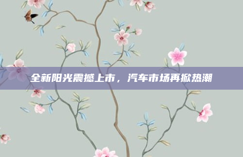 全新阳光震撼上市,汽车市场再掀热潮