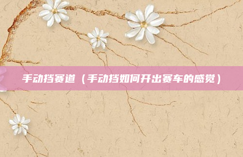 手动挡赛道（手动挡如何开出赛车的感觉）