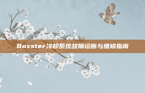 Boxster冷却系统故障诊断与维修指南