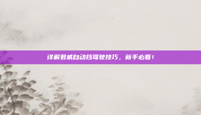 详解君威自动挡驾驶技巧，新手必看！