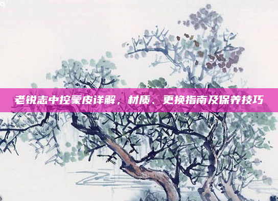 老锐志中控蒙皮详解，材质、更换指南及保养技巧