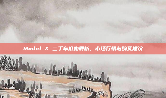 Model X 二手车价格解析，市场行情与购买建议
