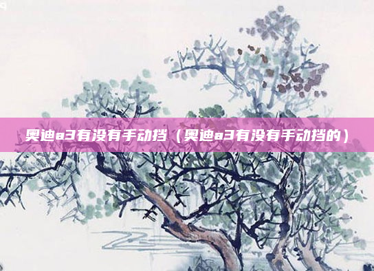 奥迪a3有没有手动挡（奥迪a3有没有手动挡的）