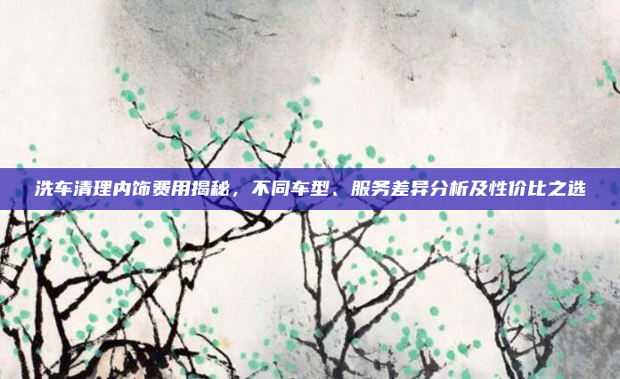 洗车清理内饰费用揭秘，不同车型、服务差异分析及性价比之选
