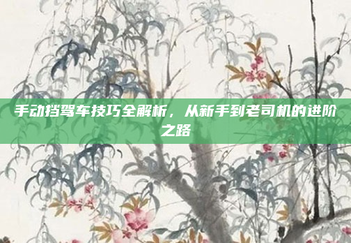 手动挡驾车技巧全解析，从新手到老司机的进阶之路