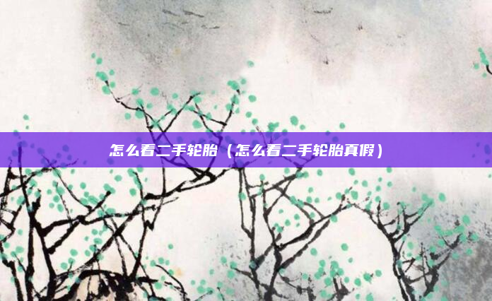怎么看二手轮胎(怎么看二手轮胎真假)