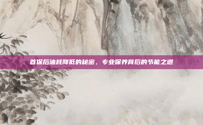 首保后油耗降低的秘密，专业保养背后的节能之道