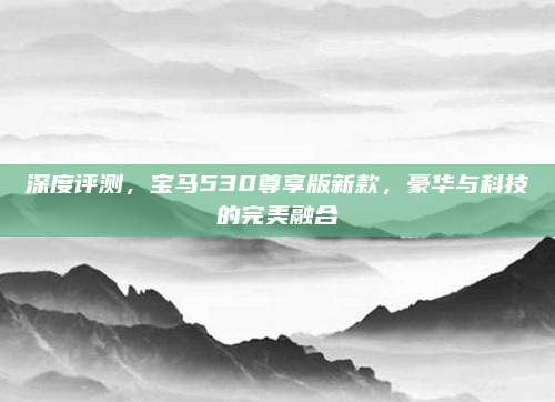 深度评测，宝马530尊享版新款，豪华与科技的完美融合