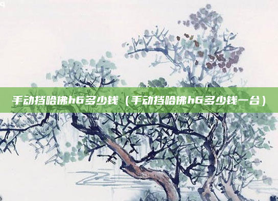 手动挡哈佛h6多少钱（手动挡哈佛h6多少钱一台）