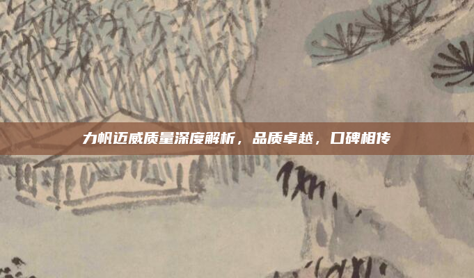 力帆迈威质量深度解析，品质卓越，口碑相传