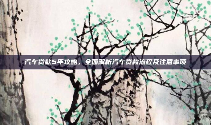 汽车贷款5年攻略，全面解析汽车贷款流程及注意事项
