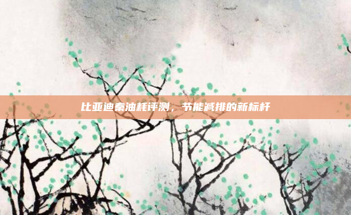 比亚迪秦油耗评测,节能减排的新标杆